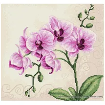Lucas Luca-S Kreuzstichset, Orchideen, Zählmuster, 23x22,5cm