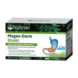 Hübner Magen-Darm Direkt Sticks (15St)