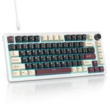 SOLIDEE Verkabelte Mechanische Gaming Tastatur 75 Prozent,hot-swap-fähige Mechanische Tastatur mit Gasket Struktur,RGB Hintergrundbeleuchtung,82 Tasten TKL Tastatur mit Drehknopf(82 Roman)