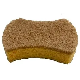 pandoo Spülschwämme, 2 St.