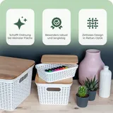 Novaliv Aufbewahrungsbox mit Deckel Mini 2L Korb Weiß in Rattan Design Lebensmittelecht Aufbewahrungskorb Stapelbox Nestbar Kunststoff BPA-frei
