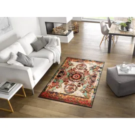 Wash+Dry Grandioso 115 x 175 cm Bunt