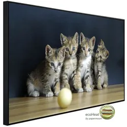 papermoon Infrarotheizung »EcoHeat - Süsse katzen«, Matt-Effekt - bunt