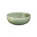 Asa Selection saisons agave 15 cm)