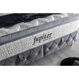 Villa Möbel JUPITER Polsterbett 100x200 - Farbe: Hellgrau - Set: Bettkasten-Kopfteil - Hellgrau