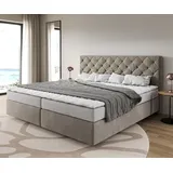 DeLife Boxspringbett Dream-Great Mikrofaser Beige 200x200 cm Bonell-Matratze PU-Topper,