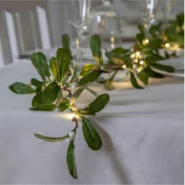 StarTrading Mistel Grün