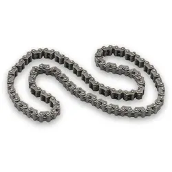 SWAG Steuerkette VW,AUDI 33 10 7674 6M109229AA,06M109229AA