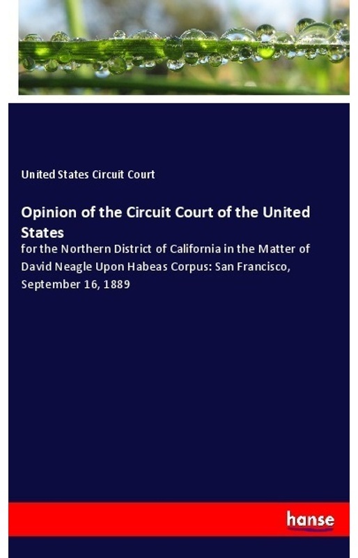 Opinion Of The Circuit Court Of The United States - United States Circuit Court, Kartoniert (TB)