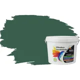 RyFo Colors Fassadenfarbe Silikonharz Fassadenfarbe Tannengrün 3l, 1 L ca. 6 m2, Wasserabweisend, diffusionsfähig, schützt vor Schmutz, Algen, Pilzen grün