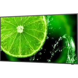 NEC MultiSync E328 32"