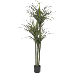 Kunstpflanze DRACAENA ANITA 198 cm