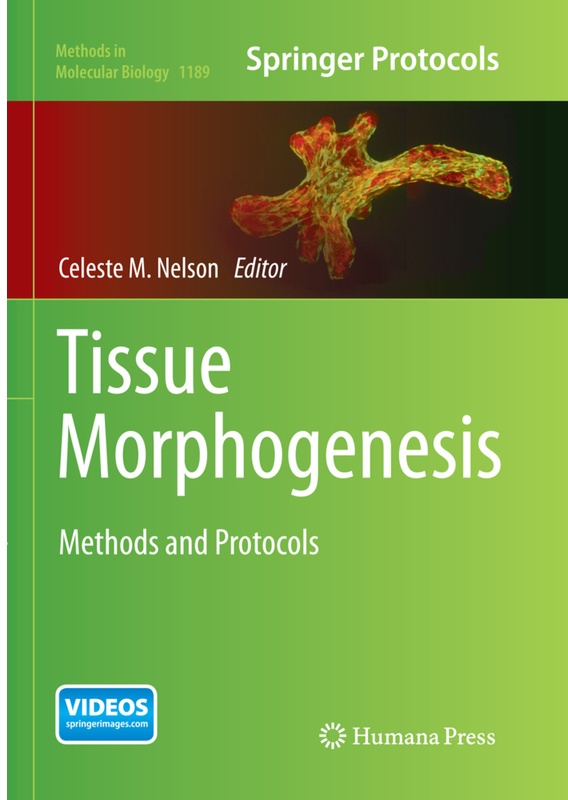Tissue Morphogenesis, Kartoniert (TB)