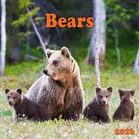 Tushita paperart Bears 2026