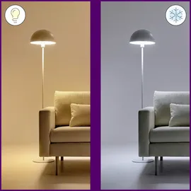 WIZ LED-Leuchtmittel Birnenform A67 E27 13W warmweiß bis kaltweiß smart CCT