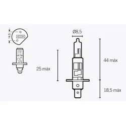 V PARTS Gloeilamp H1 12V 55W