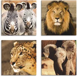 Artland Leinwandbild »Zebras Löwe Schneeleopard Elefanten«, Wildtiere, (4 St.), 4er Set, verschiedene Größen Artland Farbe Bild(er): braun