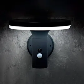 Expo Börse Wandlampe mit Bewegungsmelder LED Solarleuchte Haustürlampe Fassadenleuchte anthrazit Gartenlampe, 250lm, Kaltweiß, Bxh 24x21 cm