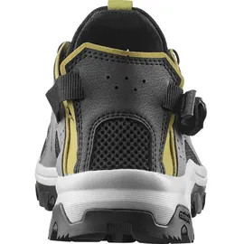 Salomon Techamphibian 5 Wanderschuhe - Castlerock / Willow / Black - EU 42