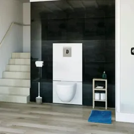 SFA Sanibroy SFA Saniwall Pro UP Kleinhebeanlage, mit Spülkasten und Betätigungsplatte, 0035UP,