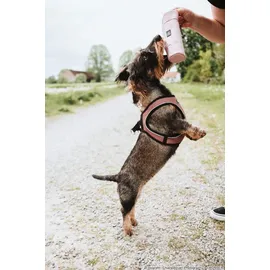 Hunter Trainer Snack Dummy mit Seil, altrosa 20 cm (34 cm Gesamtlänge)