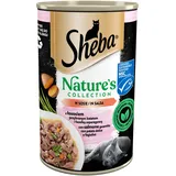 Sheba 400 g Nature's Collection- Komplettes Nassfutter für Katzen mit Lachs, garniert mit Süßkartoffeln und grünen Bohnen, in Sauce