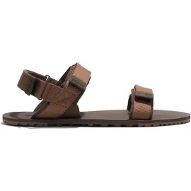 Xero Shoes D-trail Herren Cocoa Brown/Java Brown 41