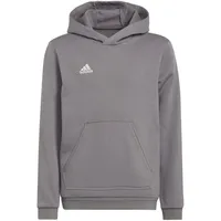adidas Entrada 22 Hoodie Grau 164