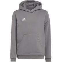 adidas Entrada 22 Hoodie Grau 164