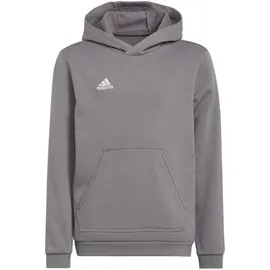 adidas Entrada 22 Hoodie Grau 164