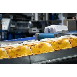 ultra grime nuvik Antibakterielles Desinfektionstuch,100 Tücher / Pack Profigroßpackung