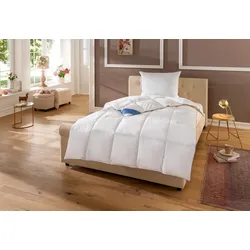Daunenbettdecke HANSE BY RIBECO "Lina", weiß, B:200cm L:220cm, Füllung: 90% Daunen, 10% Federn, Bettdecken, Hochwertiges Naturprodukt