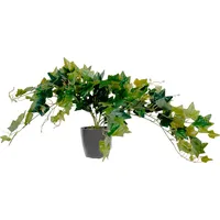 Paperflow meet powered by PAPERFLOW EFEU Kunstpflanze 80,0 cm