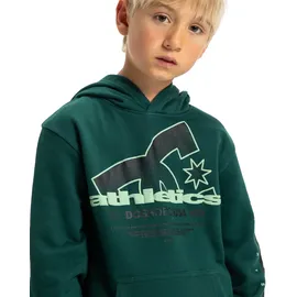 DC Shoes Hoodie Pink 158