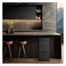 Wellhome WELL HOME Mülleimer 62 L (37 L + 25 L) Mülleimer mit 2 Fächern, automatische Öffnung mit Sensor, Edelstahl, Schwarz