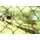 Floraworld Maschendraht-Zaun 15 x 1 m Moosgrün/Stahl