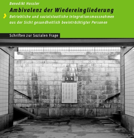 Ambivalenz Der Wiedereingliederung - Benedikt Hassler  Kartoniert (TB)