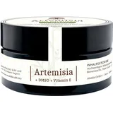 Waldkraft Artemisia Balsam - Beifuß-Salbe mit DMSO, Vitamin E, Bienenwachs und Manzanilla-Öl - 30ml