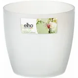 elho Brussels Orchidee Ø 16 x 15 cm transparent