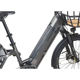 Prophete Urbanicer 4.0 Urban E-Bike 20"/24"