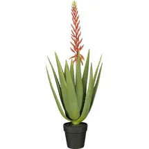 Mica decorations Kunstpflanze Aloe vera im Topf grün rot Ø 43 x 82 cm