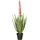 Mica decorations Kunstpflanze Aloe vera im Topf grün rot Ø 43 x 82 cm