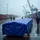 Wiltec Abdeckplane 5 x 8 m Blau