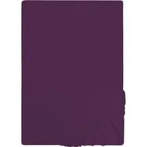 biberna 0077155 Jersey 180 x 200 - 200 x 200 cm dunkelviolett