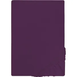 biberna 0077155 Jersey 180 x 200 - 200 x 200 cm dunkelviolett