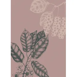 Bild KOMAR "Wild Berry", rosa (farbe bild(er): rosa), B:50cm H:70cm, Papier, Holz, Bilder, Wandbild zur Dekoration - ohne Rahmen