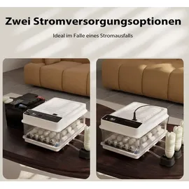 fudajo Vollautomatischer Flächenbrüter für 36 Eier 45 W