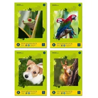 Edition Dürer Zeichenblock green DIN A3