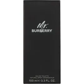 Burberry Mr. Burberry Eau de Toilette 100 ml