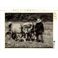 Calvendo Harvest, Bilder aus vergangenen Zeiten Puzzle